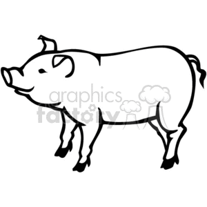 Free Bird Vector  on Pig Clip Art  Pictures  Vector Clipart  Royalty Free Images   1