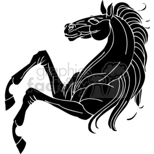 Bronco Horse