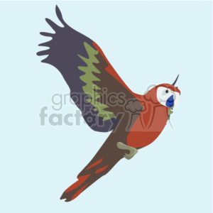 clip art free macaw