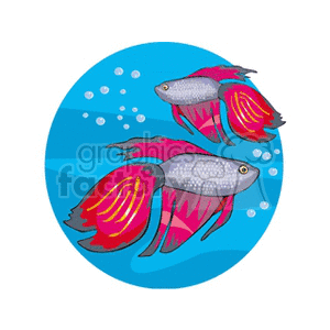Fish Vector Free on Fish Animals Tropical Exotic Fish229 Gif Clip Art Animals Fish