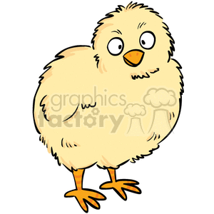 baby chicks clipart